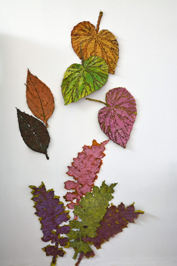 big leaves on wall